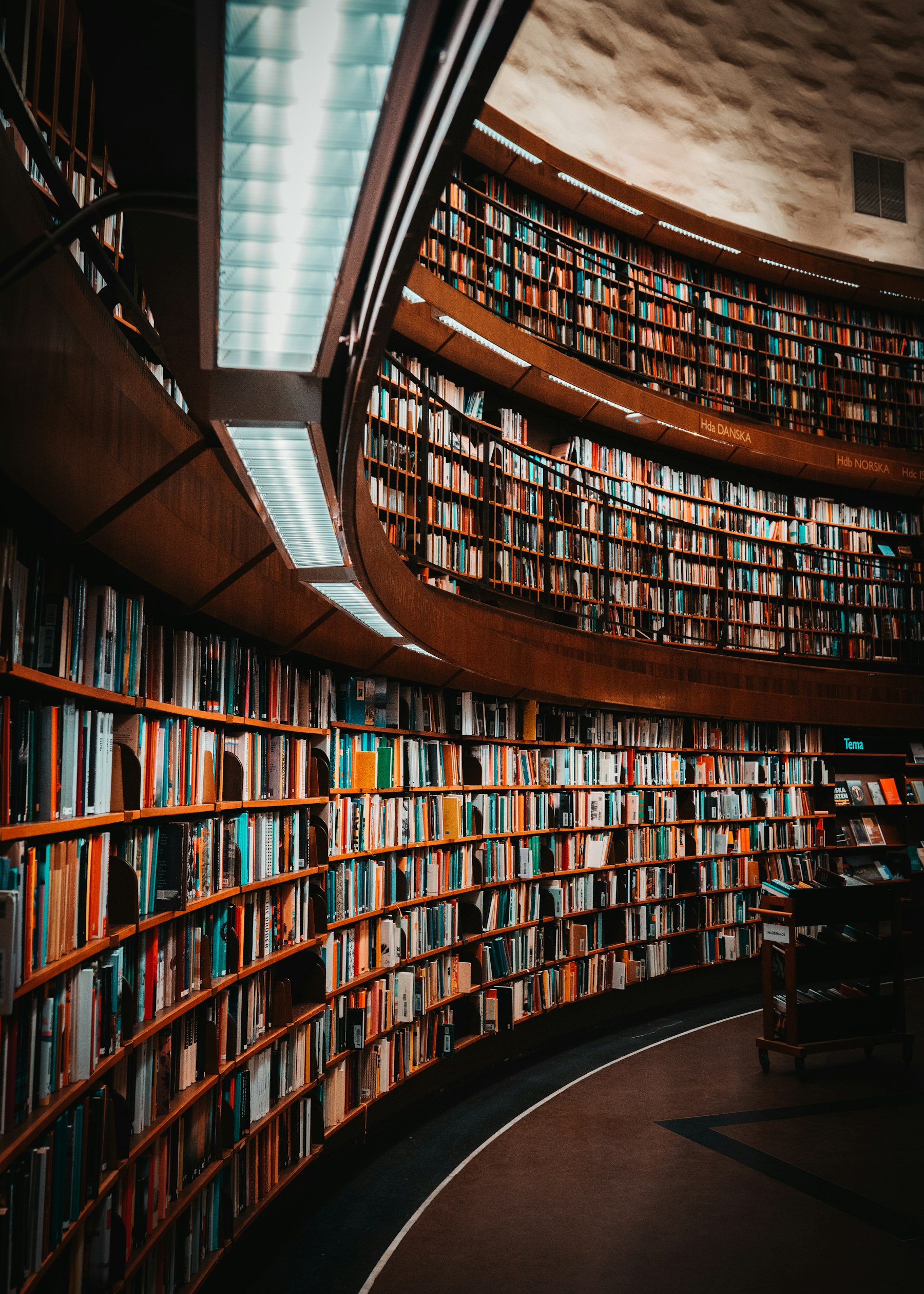 Direction de la Recherche, des Bibliothèques et Musées